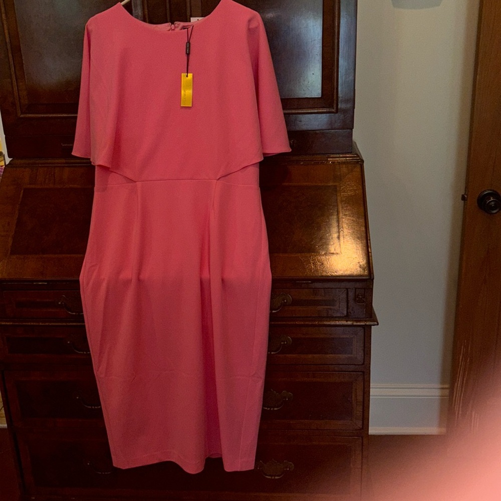 Alexa Admor dress.